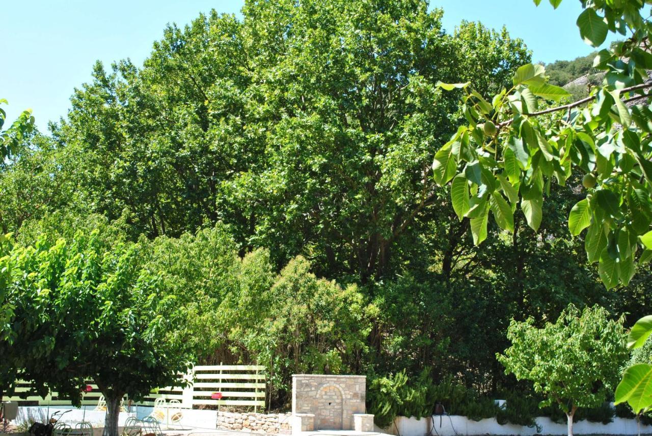 Guesthouse Eleftherios Kalavryta Extérieur photo